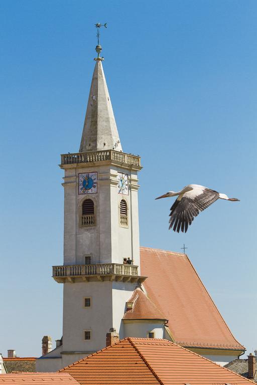 Unser Rosa Haus Fuer Sie Ruszt Szoba fotó